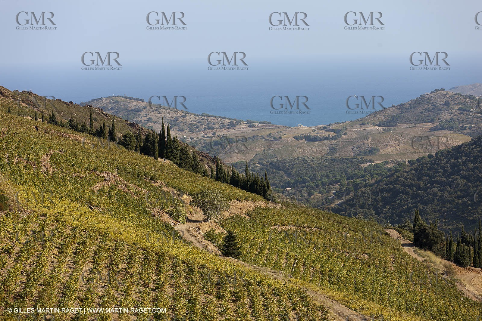 17 10 2011 - Vermeille Coast (FRA, 66) - Corbières Vineyards