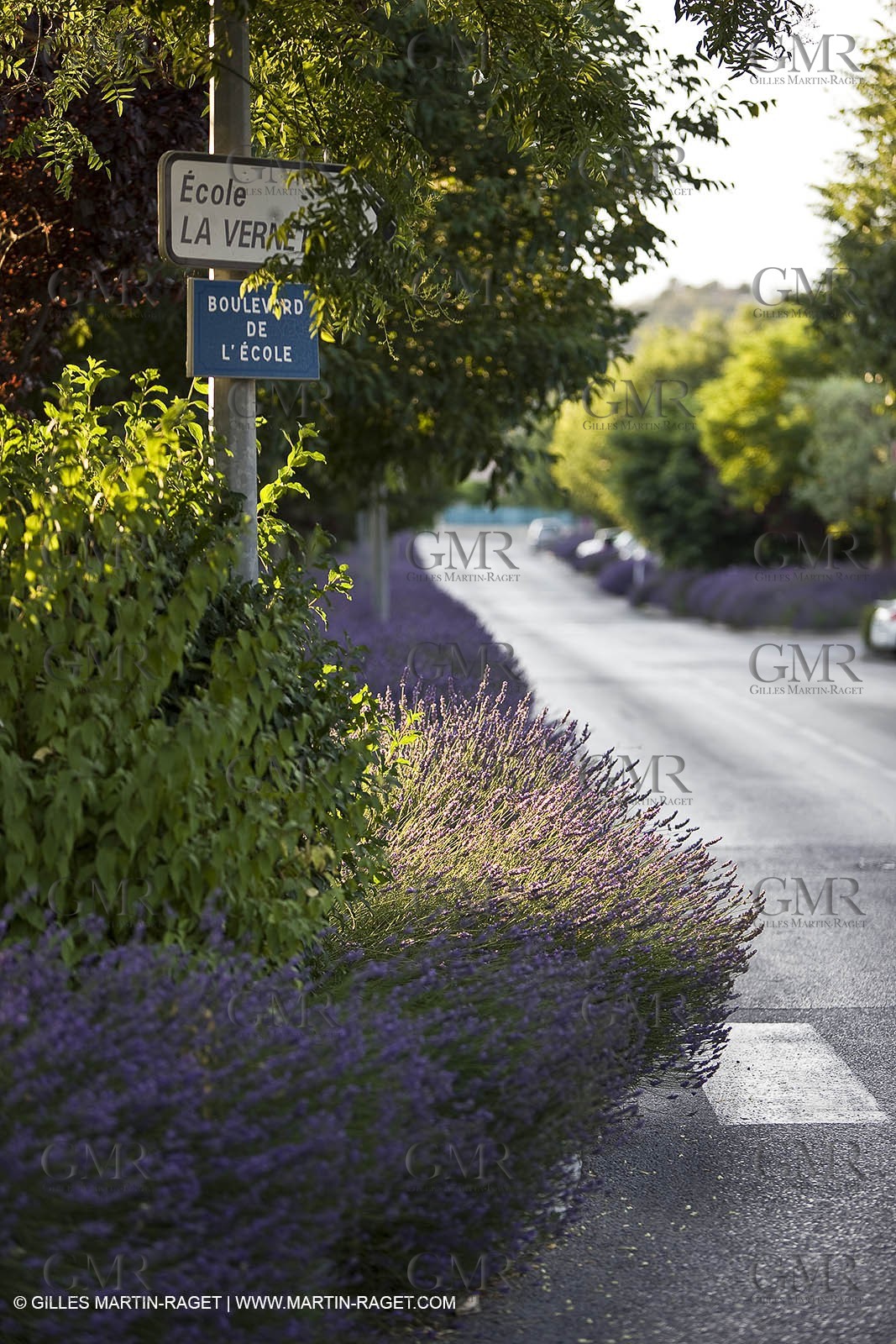 26 06 09 - Sanary sur mer (FRA,83)