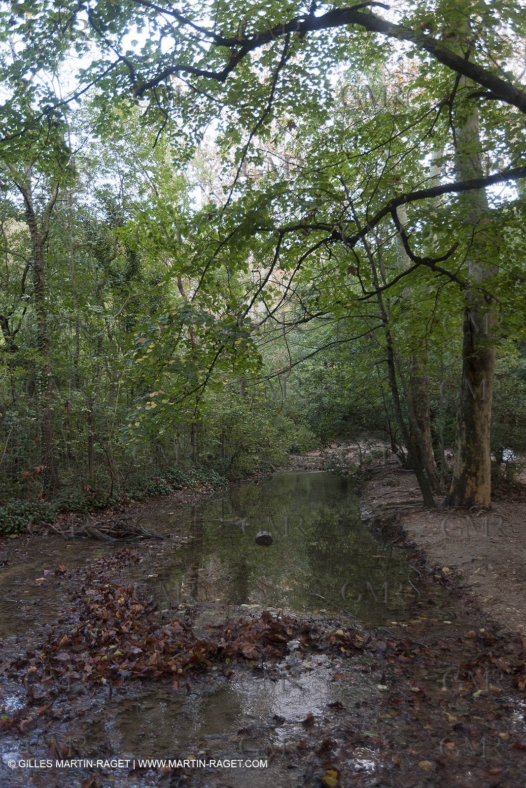 23 10 2012 - Gemenos (FRA) - Départemental Park of Saint Pons valley