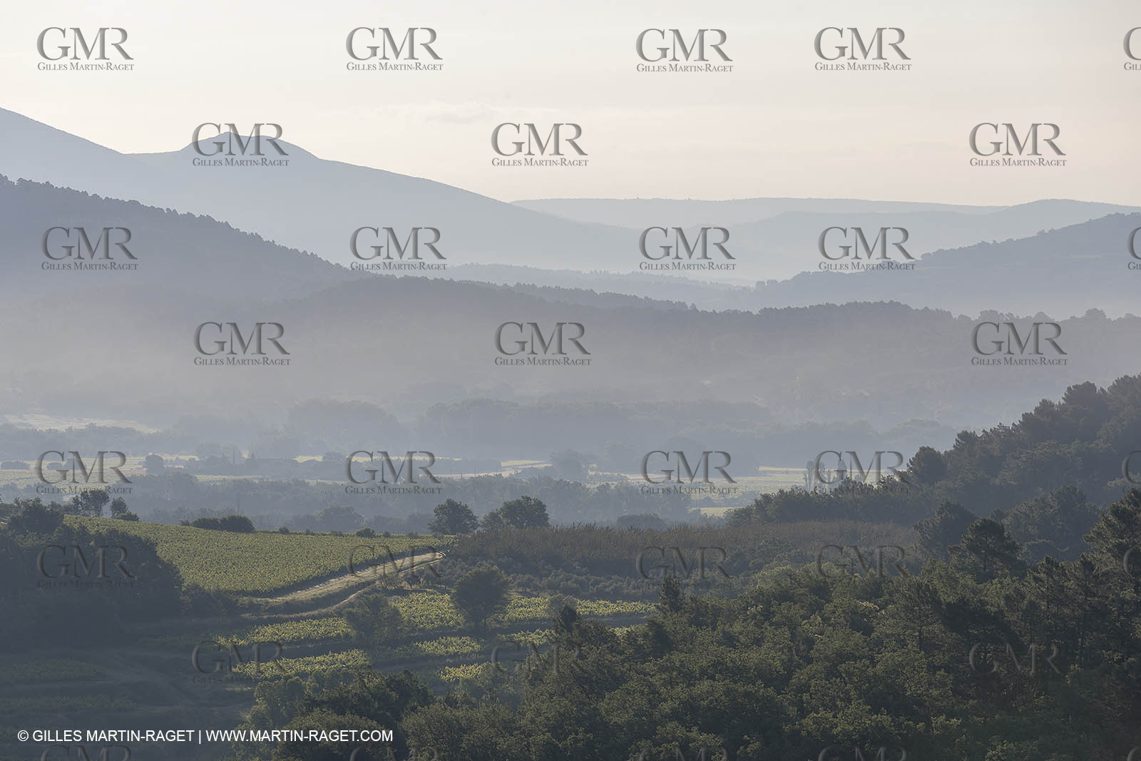 15 06 2018, Roussillon (FRA,84)