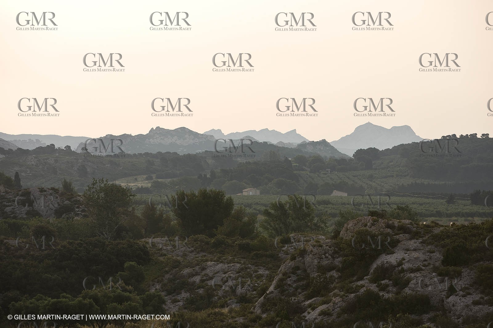 24 Juin 2008 - Mouriès (FRA-13) - Paysage des Alpilles - Collines du Destet