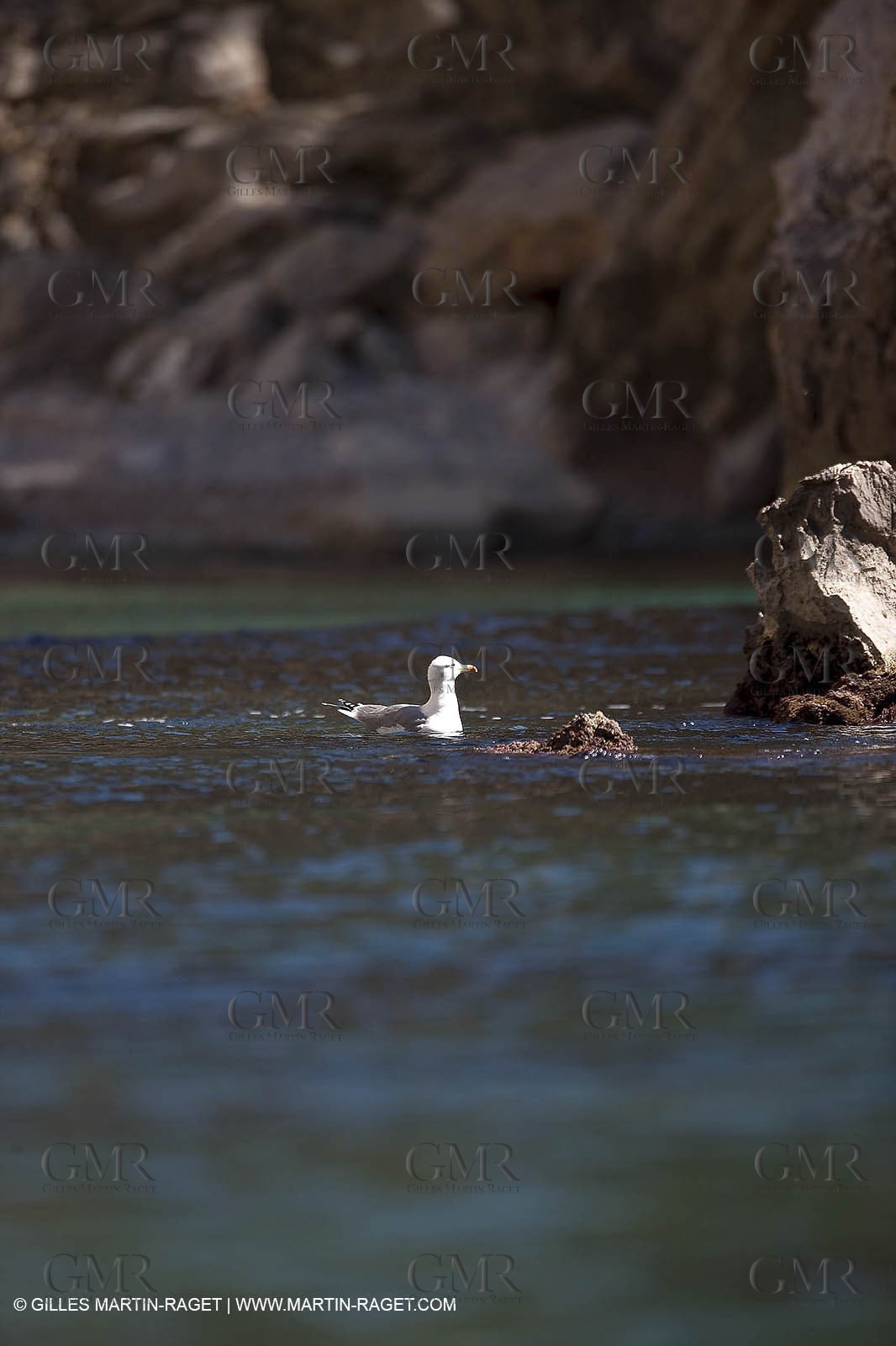 26 03 2009 - Marseille (FRA, 13) - Les Calanques - Sugiton