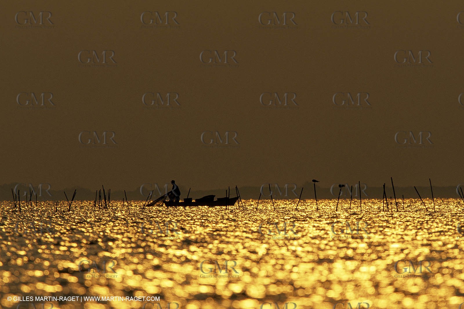 Camargue (FRA,13) - Gardians