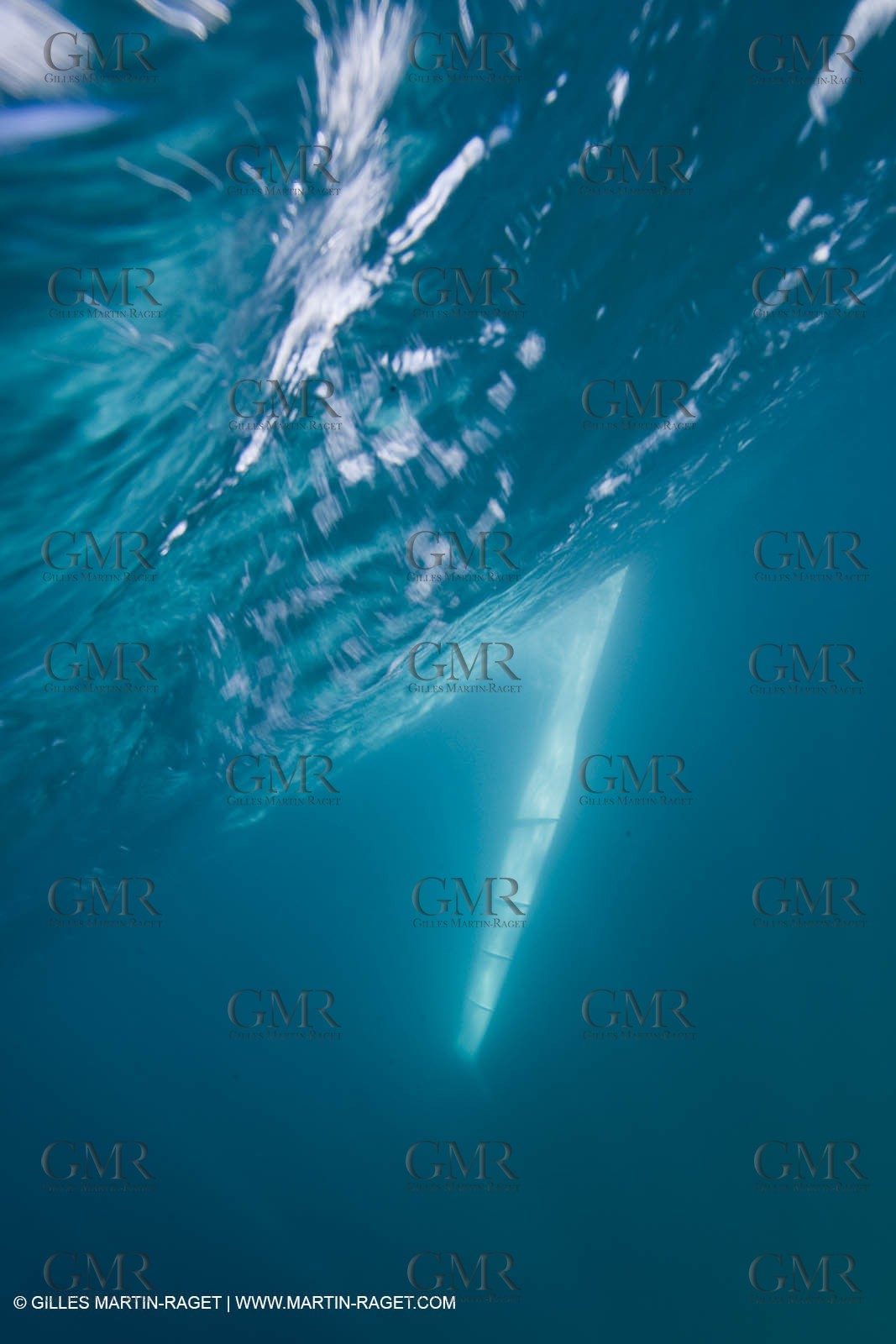 14 06 2008 - Toulon-Hyères (FRA,83) - 50 knots record attempt trials by l'Hydroptère