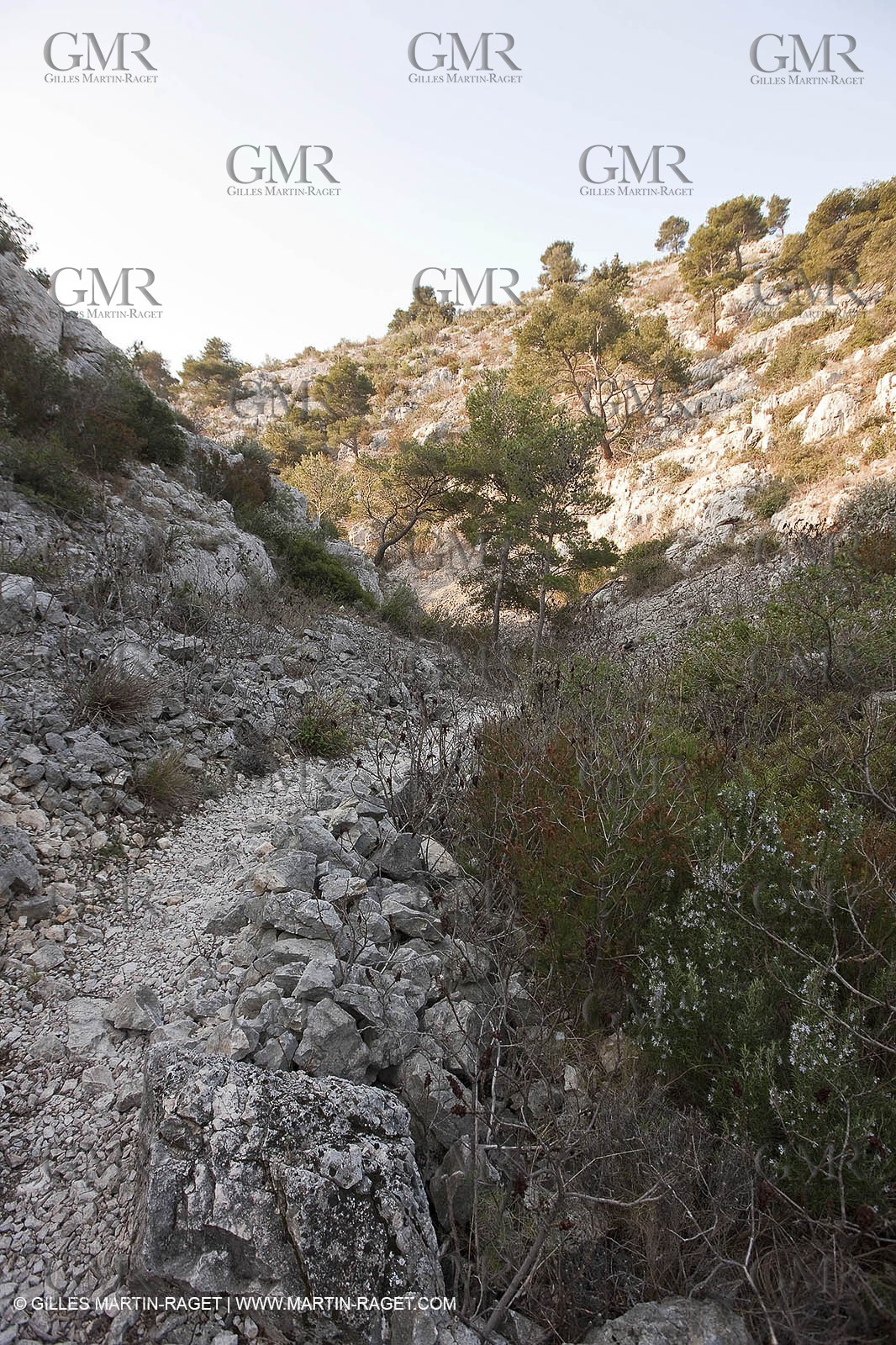 20 03 2009 - Marseille (FRA, 13) - Les Calanques - Vallon de l'oule