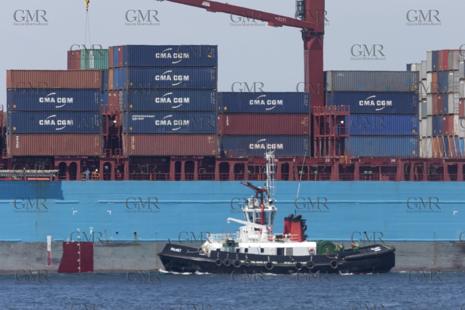 12 11 2014, Capetown (ZAF), Volvo Ocean Race 2014-15, Team Alvimedica goes back training