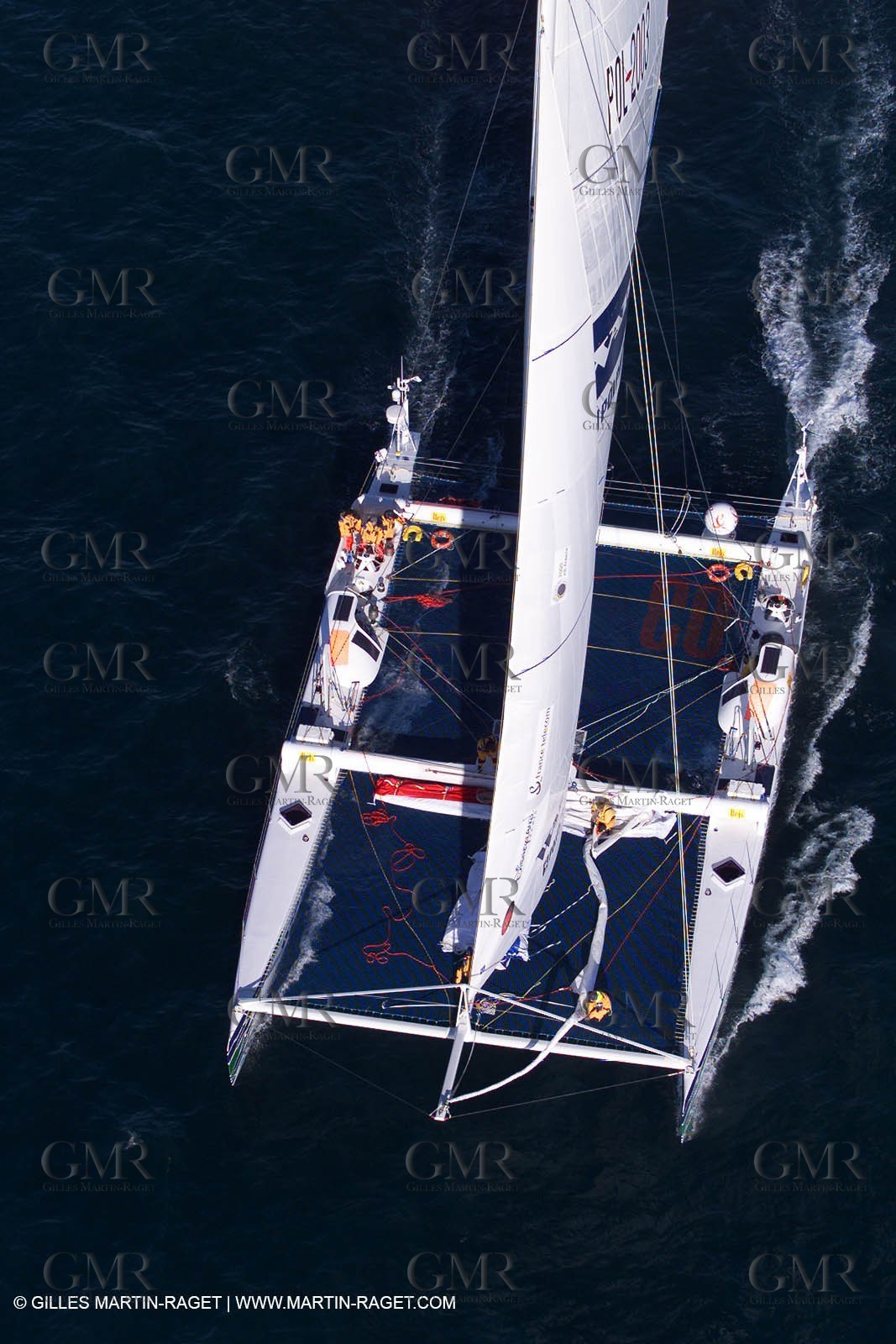 The Race - Warta Polpharma