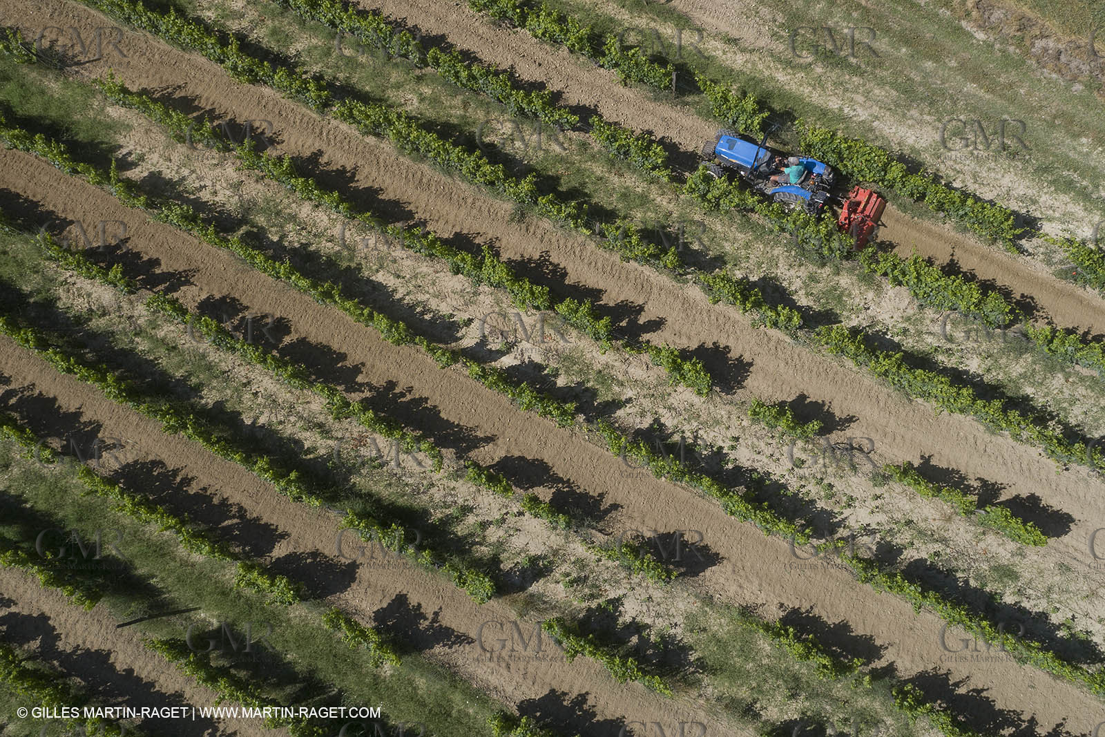 22 06 2018, Ménerbes (FRA,84), Domaine de la Citadelle