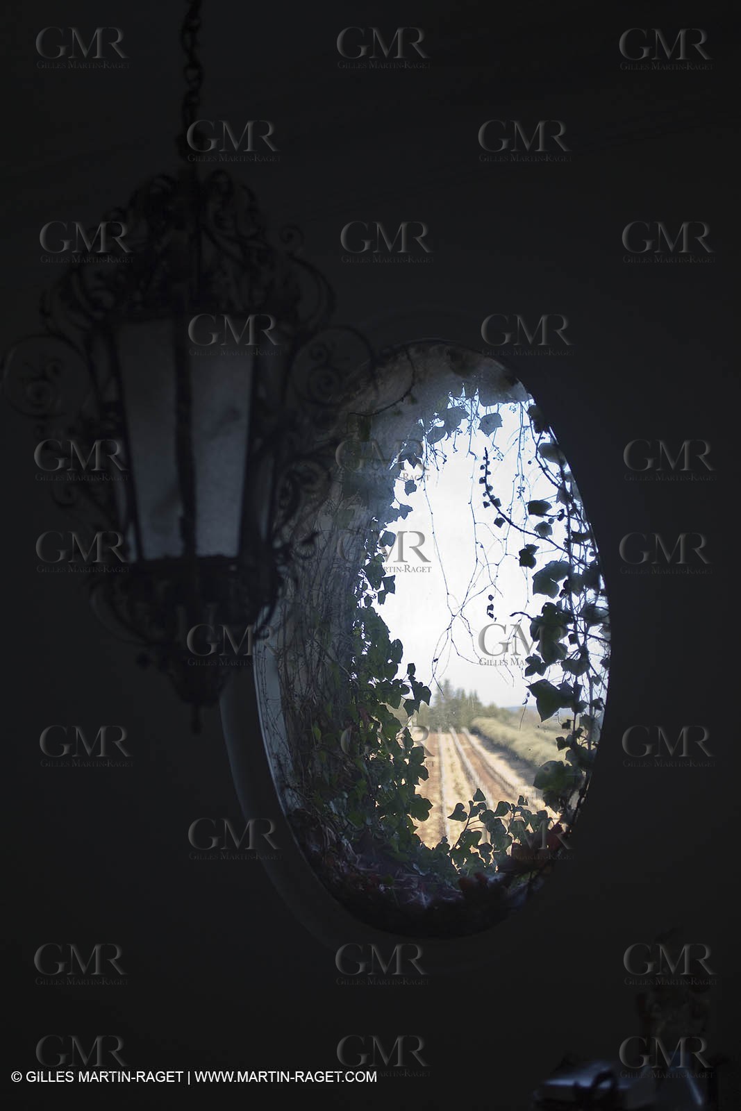 Saint Drézéry (FRA, 34), Domaine de Puech Haut