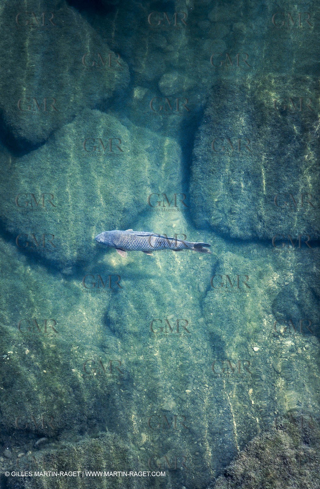 Nîmes Métropole landscapes  (FRA,30) - Gardonenque