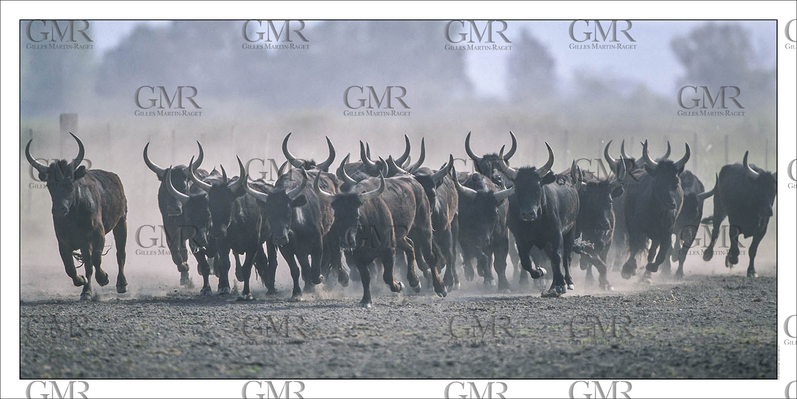 Product: in house made quality print on 8 ultrachome colors Epson ink Jet printer.Available sizes: . 50 x 100 cm. 100 x 200 cmAvailable papers: . Standard 250 gr glossy paper print, black streak, white margin, no signature. Top quality glossy 290 gr. paper, black streak, white margin, checked and signed by the author. Fine Art print (signed, numbered, stamped, registered) on demand. Other supports (Canvas, Acrylic, Metal) on demandPackaging: cylindric reinforced tubeShipping options: regular mail or Shipping companyClick on the basket icon to select your options and start the online ordering process