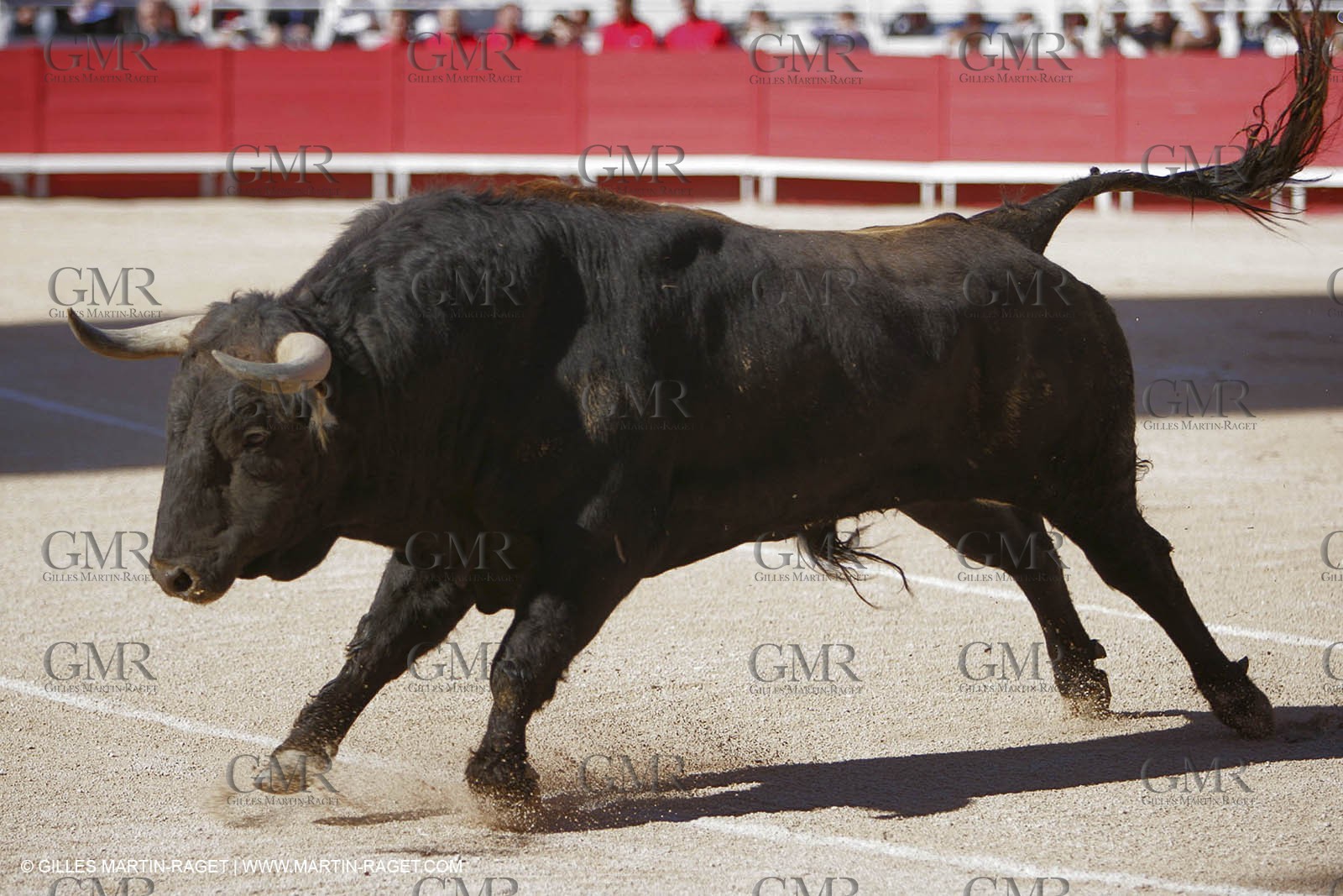 2006 Arles Feria
