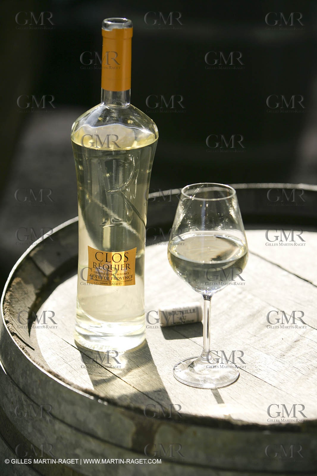 28 02 2008 - Cabasse (FRA, 83) - Domaine du Lac vines