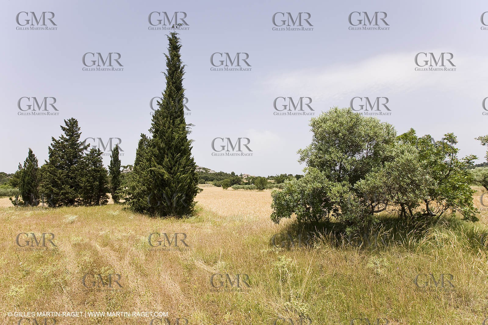 June 24th 2008 - Saint Rémy de Provence (FRA,13) - Alpilles hills landscapes