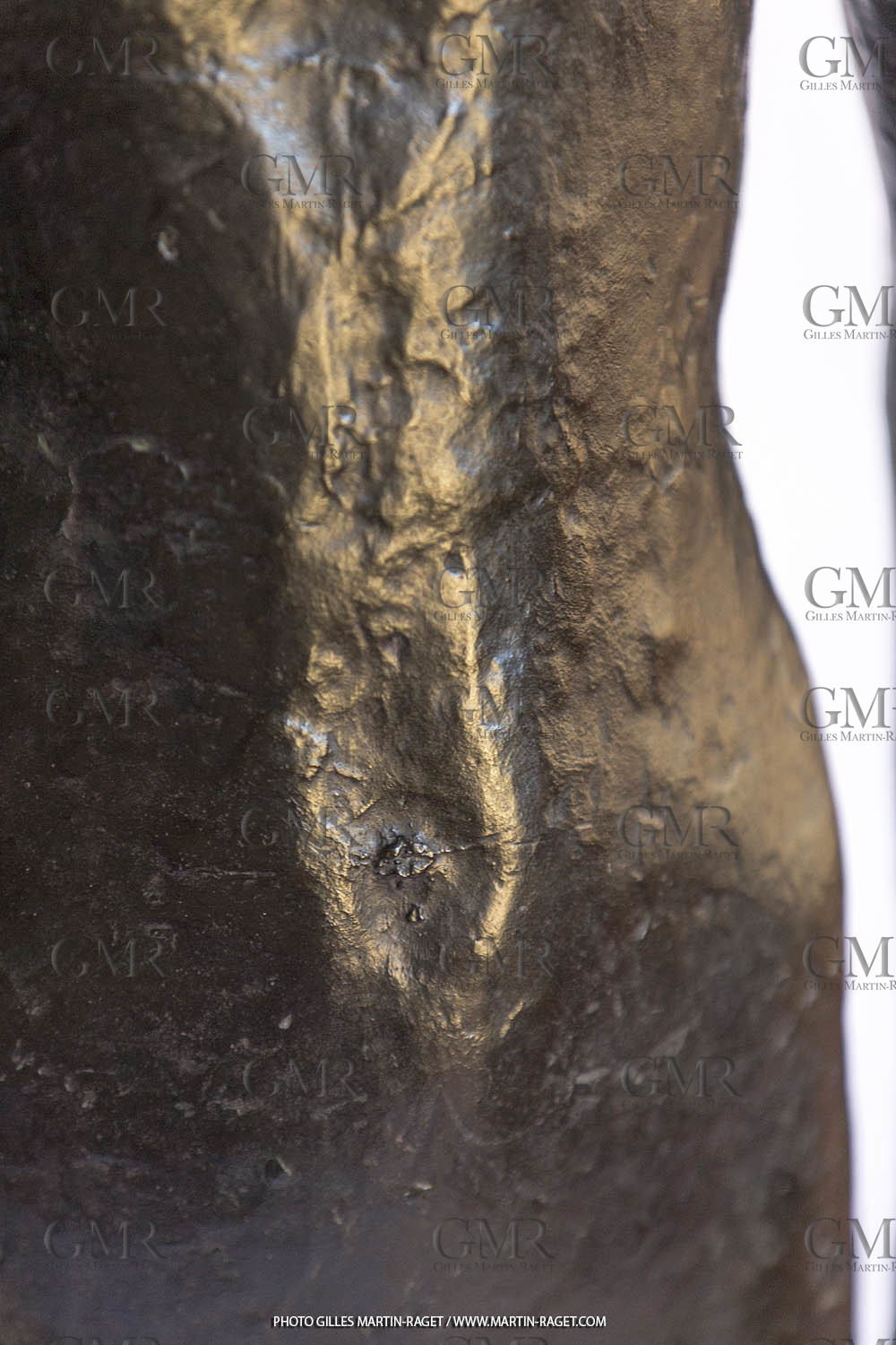 06 03 2016, Saint-Etienne du Grès (FRA,13), Oeuvre de Germaine Richier, Loretto I 1934, Bronze patiné foncé, Numéroté 4 6, fondeur Susse, Paris, 160 x 52 x 35 cm, Collection particulière