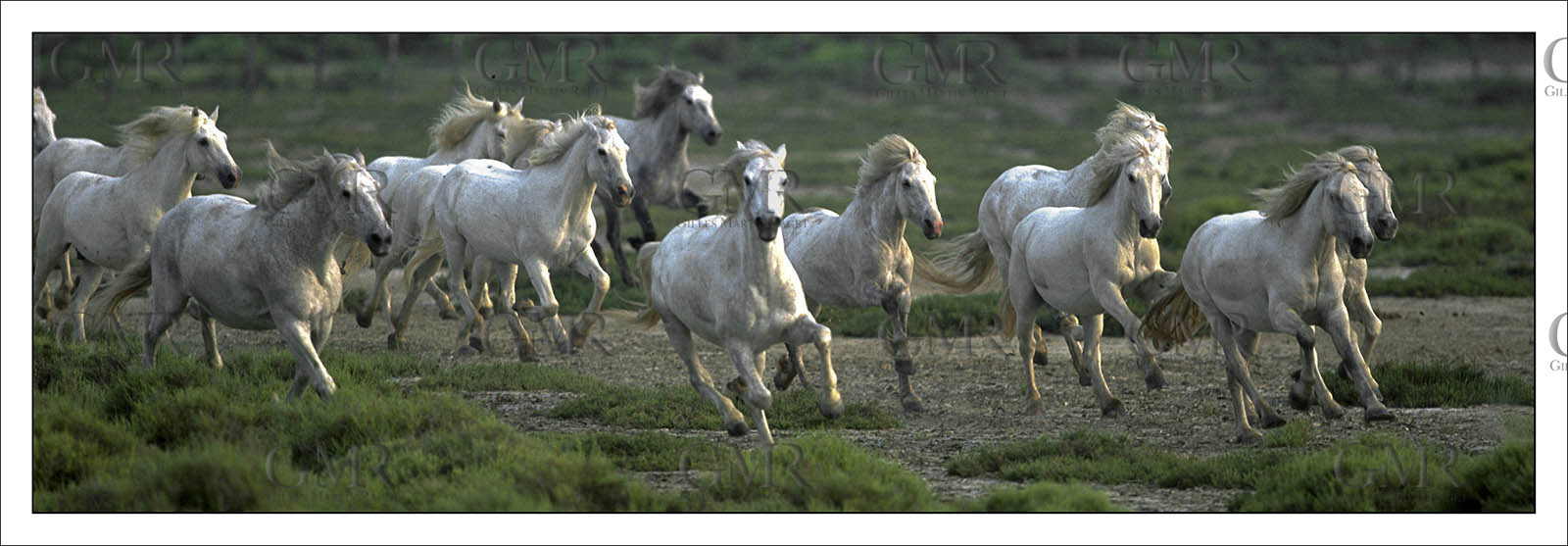 Produit : Tirage photo réalisé par nos soins sur imprimante jet d'encre professionnelle Epson à partir de 8 encres ultrachrome inaltérables (label Digigraphie).Formats au choix :. 20 x 60 cm. 33 x 95 cm- 52 x 150 cmChoix des papiers :. Papier standard brillant 250 gr., filet noir, marge blanche, tirage non signé. Papier haut de gamme satiné 290 gr. filet noir, marge blanche, tirage vérifié et signé par l'auteur.. Autres supports (canvas, acrylique, dibond) sur demandeConditionnement : tube cylindrique renforcé.Options pour l'expédition : . colissimo + dépôt boîte aux lettres (France uniquement). Colissimo avec signature à réception. Transporteur express (2 jours ouvrés) avec signature à réceptionCliquez sur caddie pour sélectionner votre formule et démarrer la procédure de commande en ligne