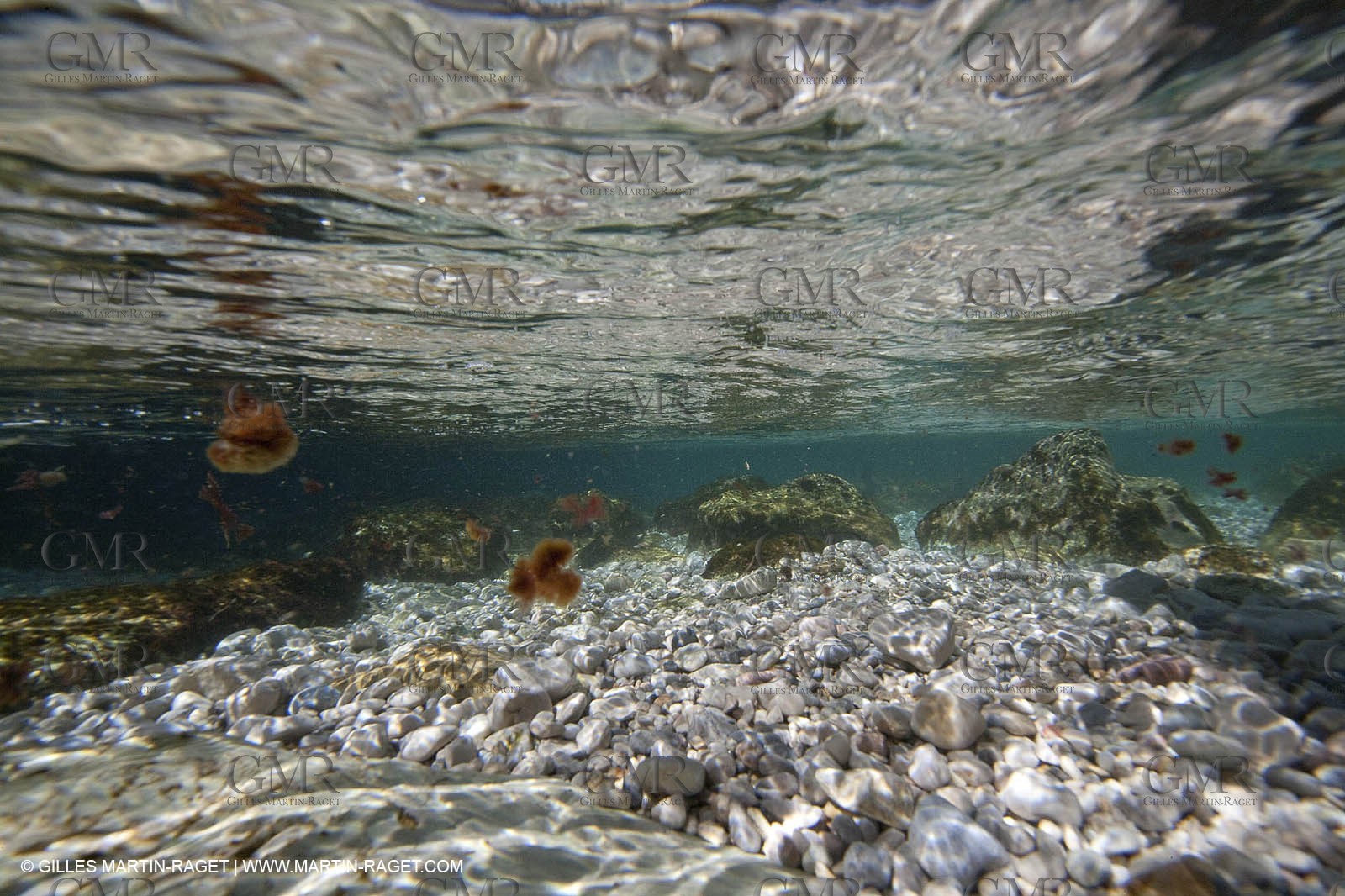 26 03 2009 - Marseille (FRA, 13) - Les Calanques - Sugiton