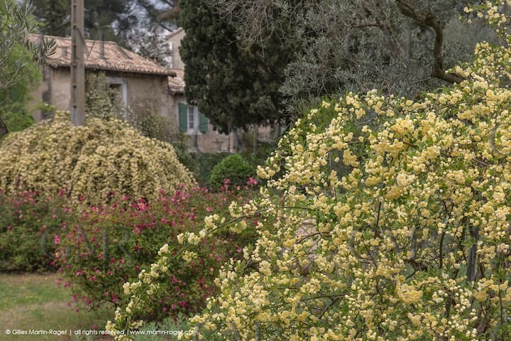 0ceee7eb-7454-4368-8e0d-528c0ee4242d