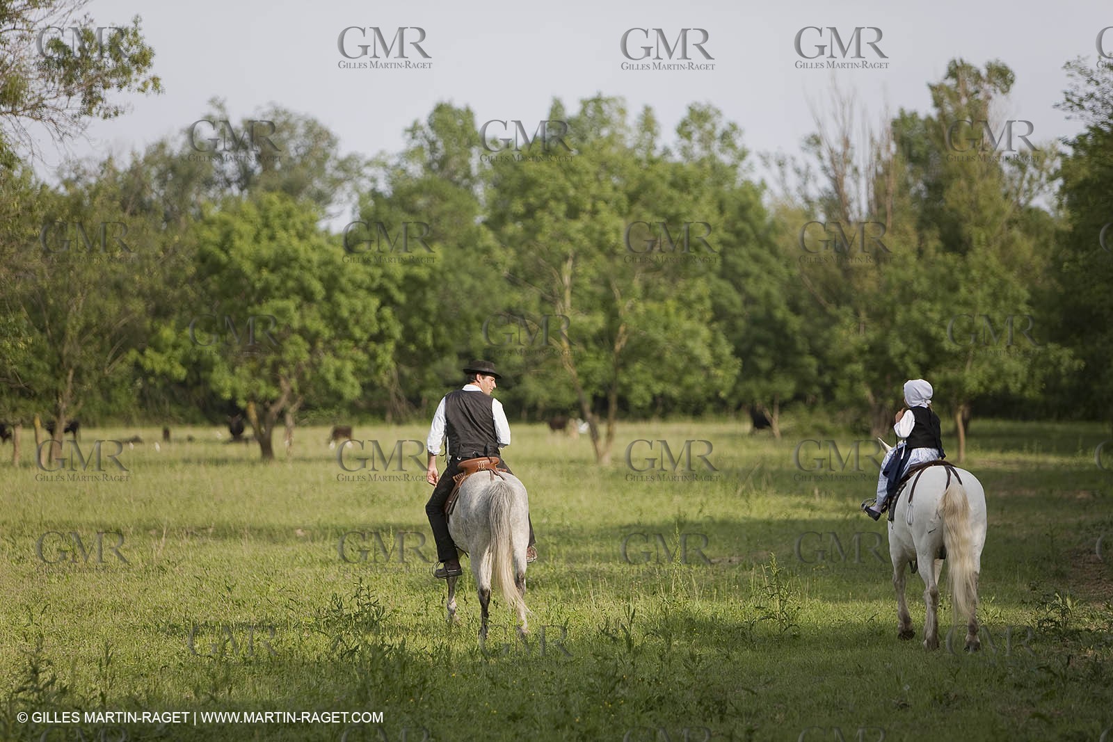 07 05 2008 - Le Cailar (FRA,30) - Stock work at Mas du Pont de Laute domain