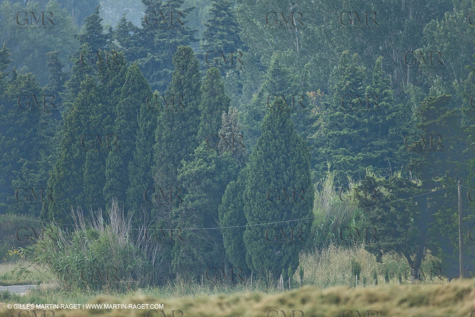 June 24th 2008 - Saint Rémy de Provence (FRA,13) - Alpilles hills landscapes
