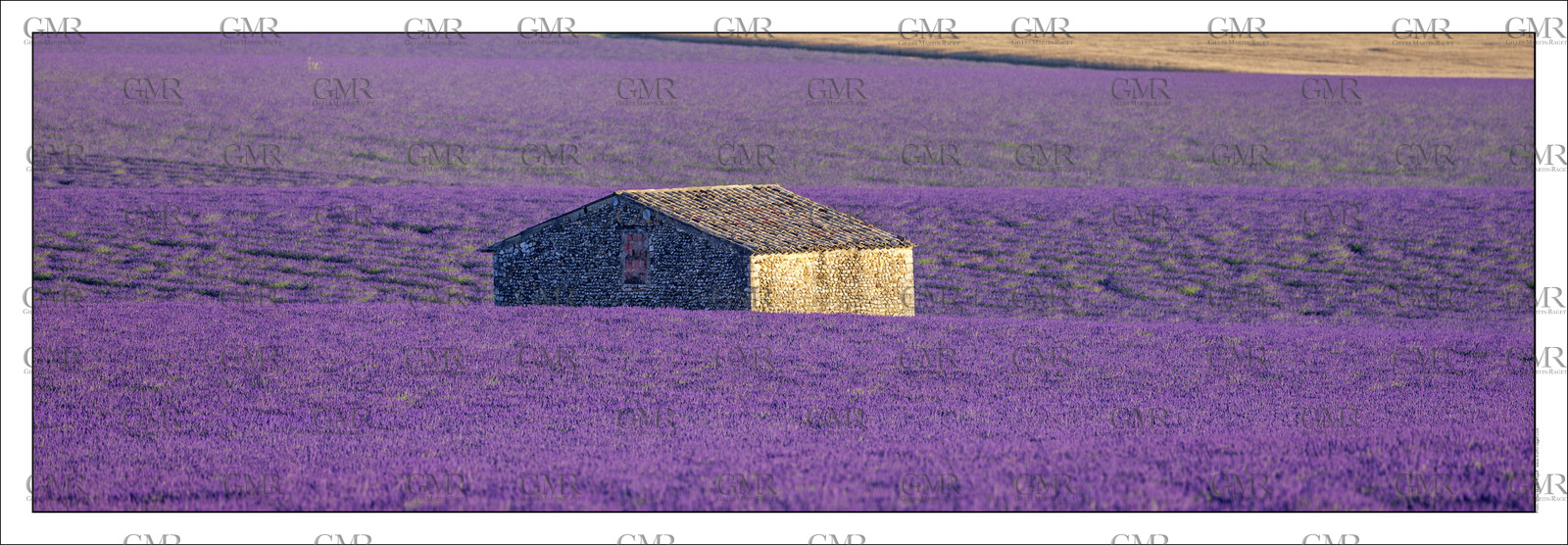 Product: in house made quality print on 8 ultrachome colors Epson ink Jet printer.Available sizes: . 20x 60 cm. 33 x 95 cm. 52 x 150 cmAvailable papers: . Standard 250 gr glossy paper print, black streak, white margin, no signature. Top quality glossy 290 gr. paper, black streak, white margin, checked and signed by the author. Fine Art print (signed, numbered, stamped, registered) on demand. Other supports (Canvas, Acrylic, Metal) on demandPackaging: cylindric reinforced tubeShipping options: regular mail or Shipping companyClick on the basket icon to select your options and start the online ordering process