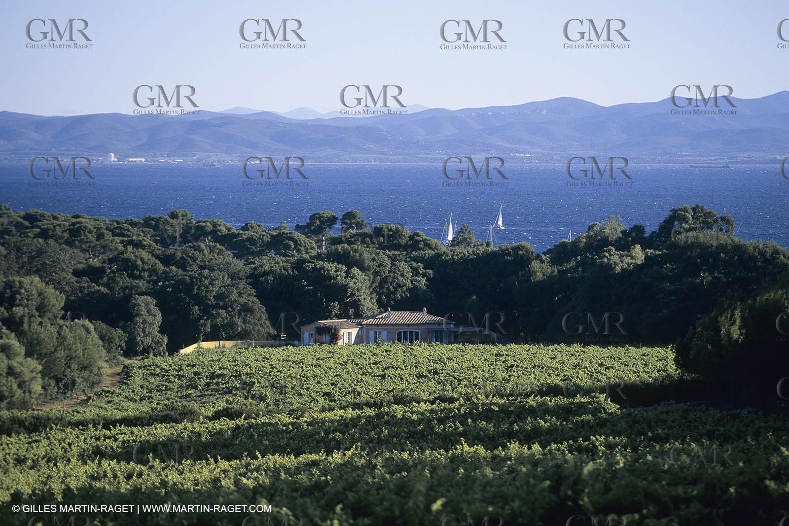 Vin, Vigne , Vendanges, vignification, vignobles, France, Provence, Côte du Rhône, Rosé