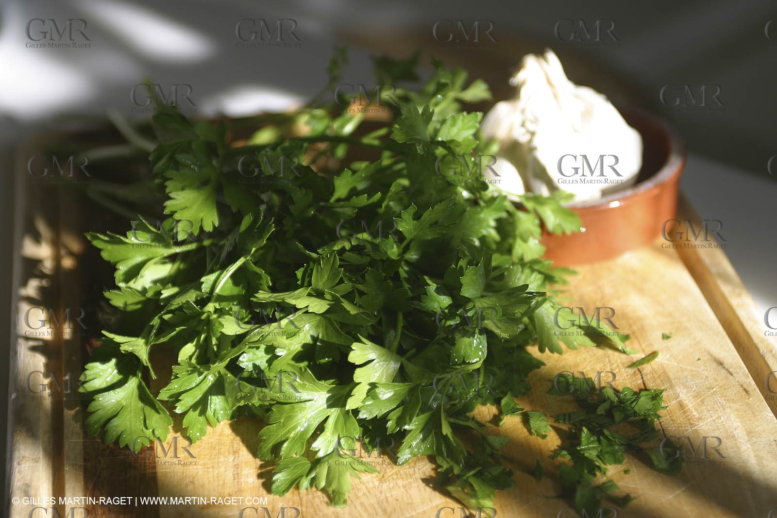 Cooking herbes from Provence - Garlic and Parsley