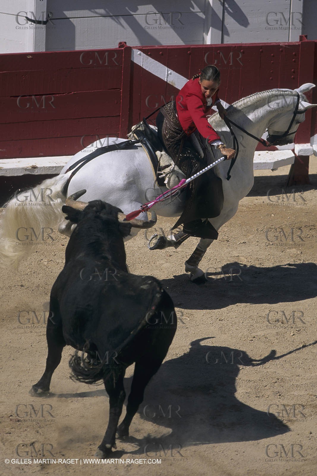France, Provence, Traditions, Tauromachie, bull fights