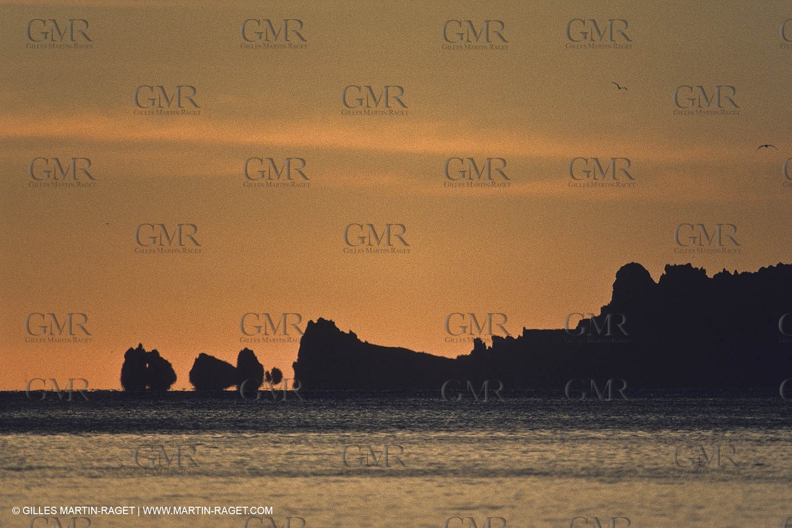 France - Var - 83 - Hyeres islands - Porquerolles