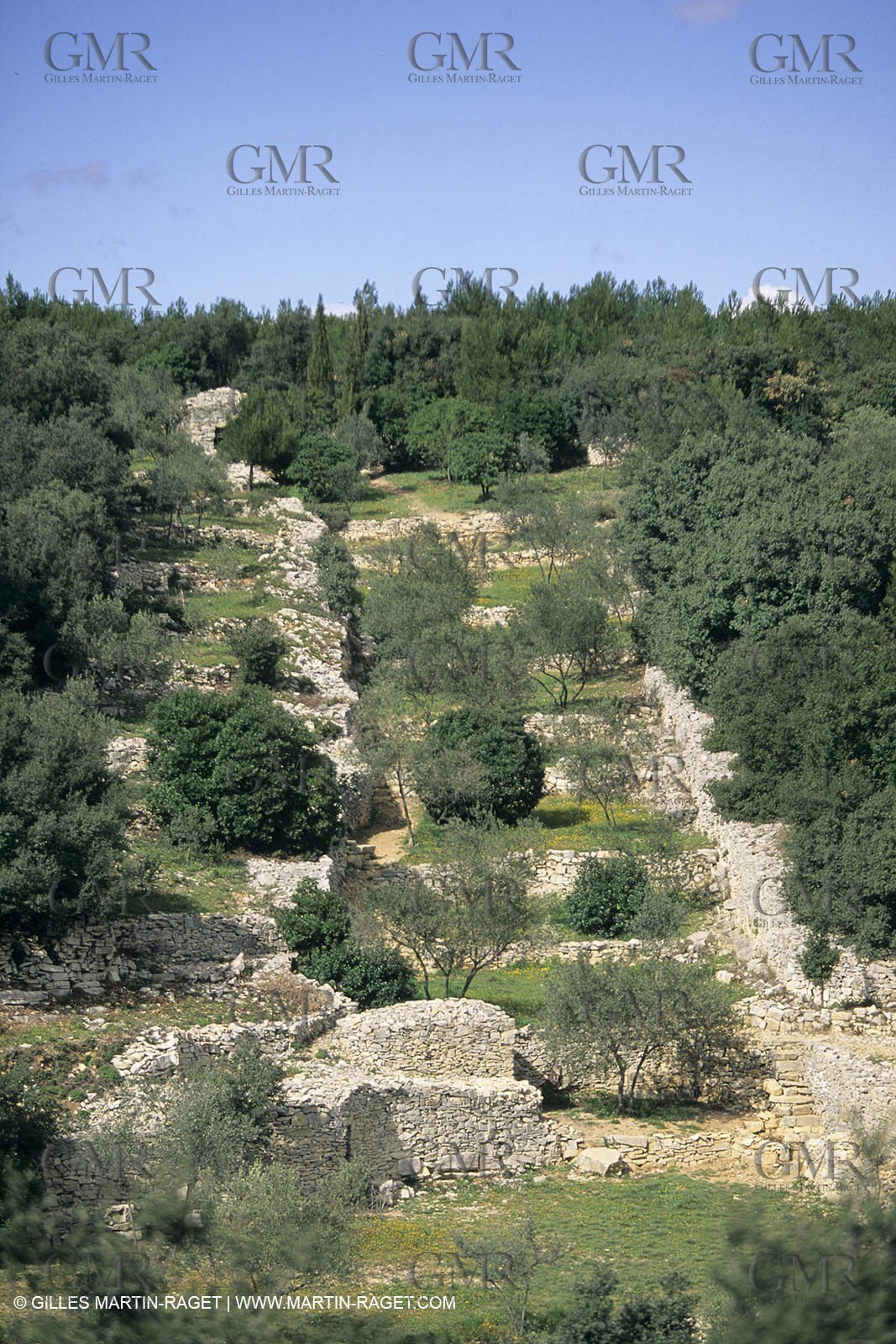 Paysages de Nîmes Métropole (FRA,30) - La Garrigue