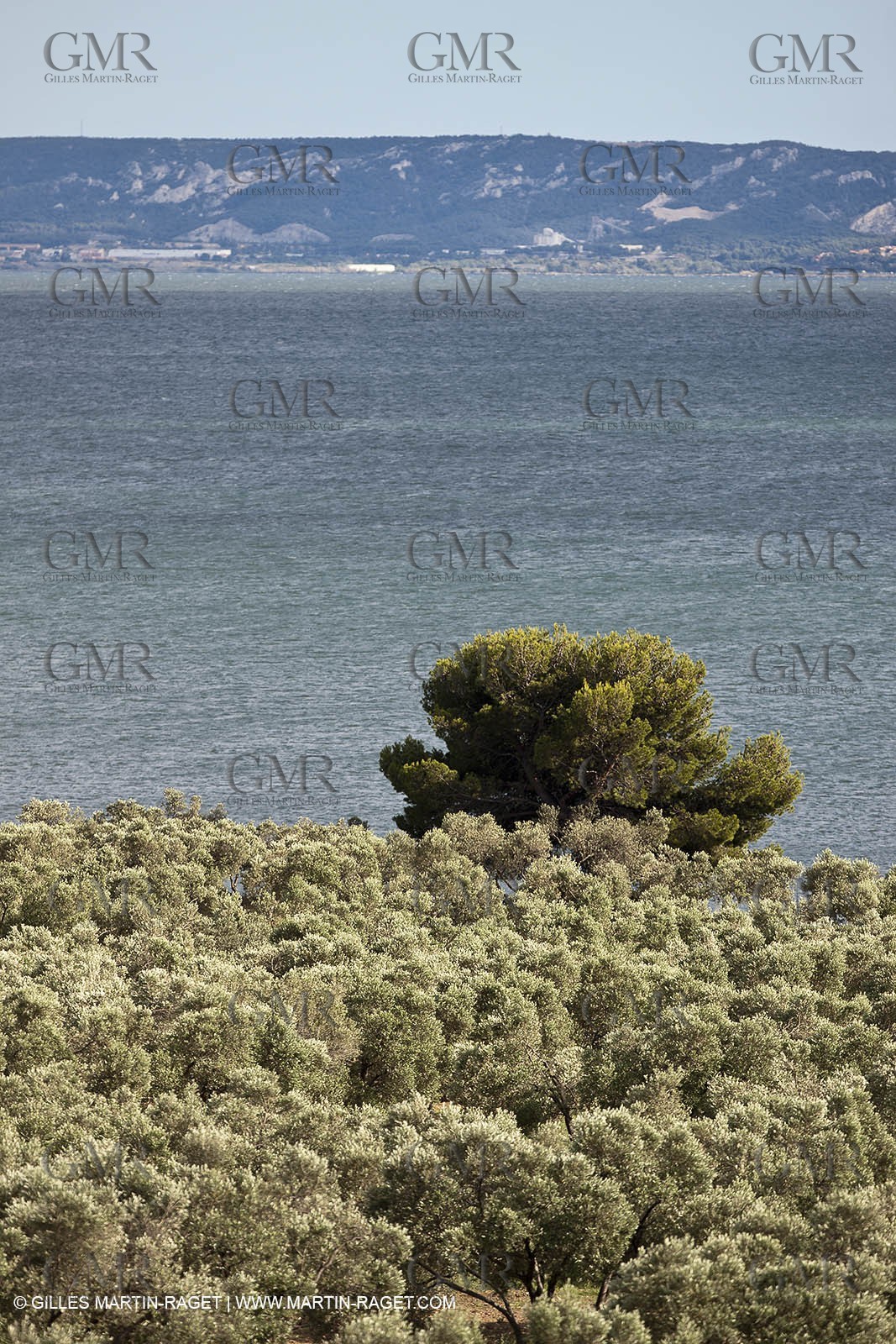 13 06 2012 - Saint Chamas (FRA,13)