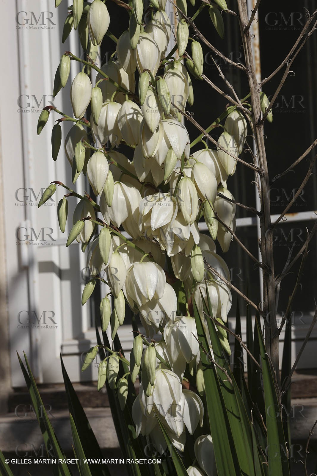 29 07 2009 - Marseille (FRA, 13) - Les Calanques