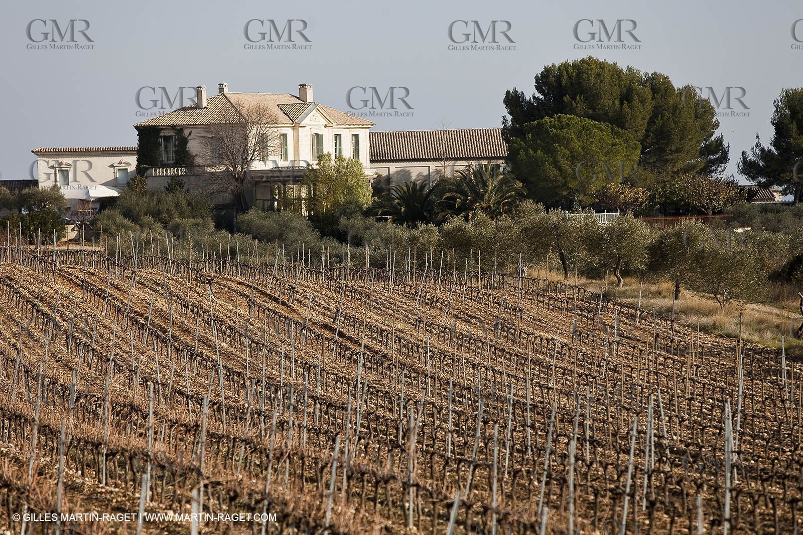 Saint Drézéry (FRA, 34), Domaine de Puech Haut