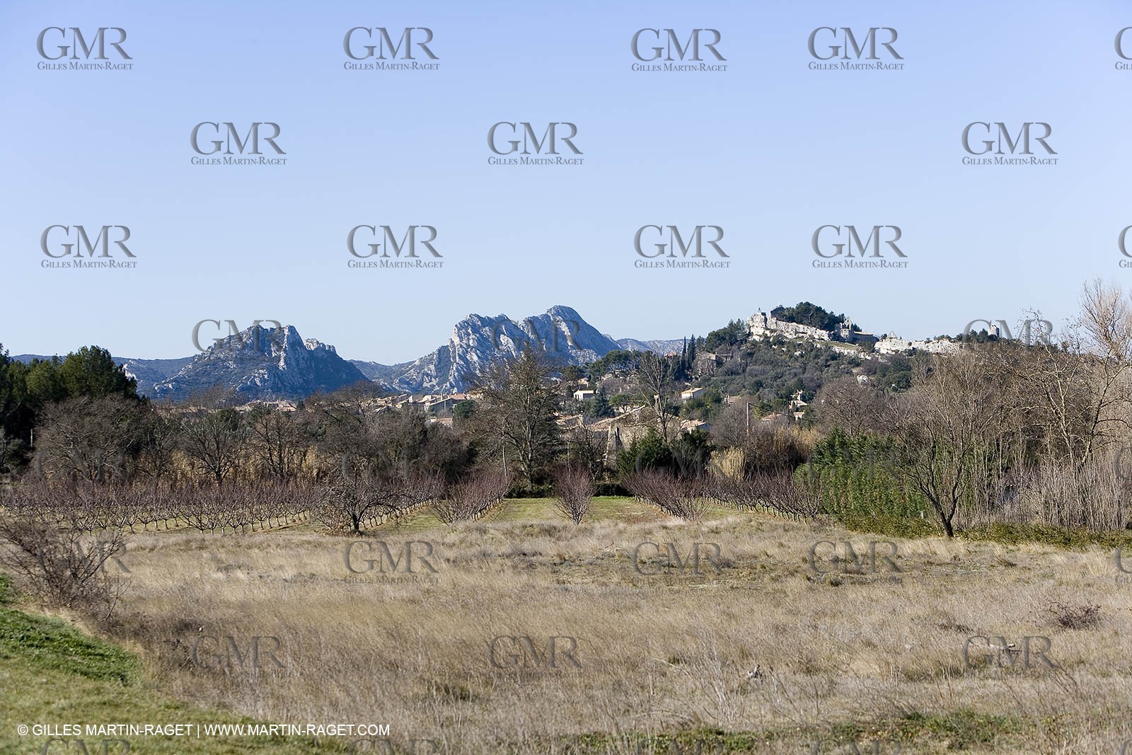 15 02 2007 - Provence - Les Alpilles
