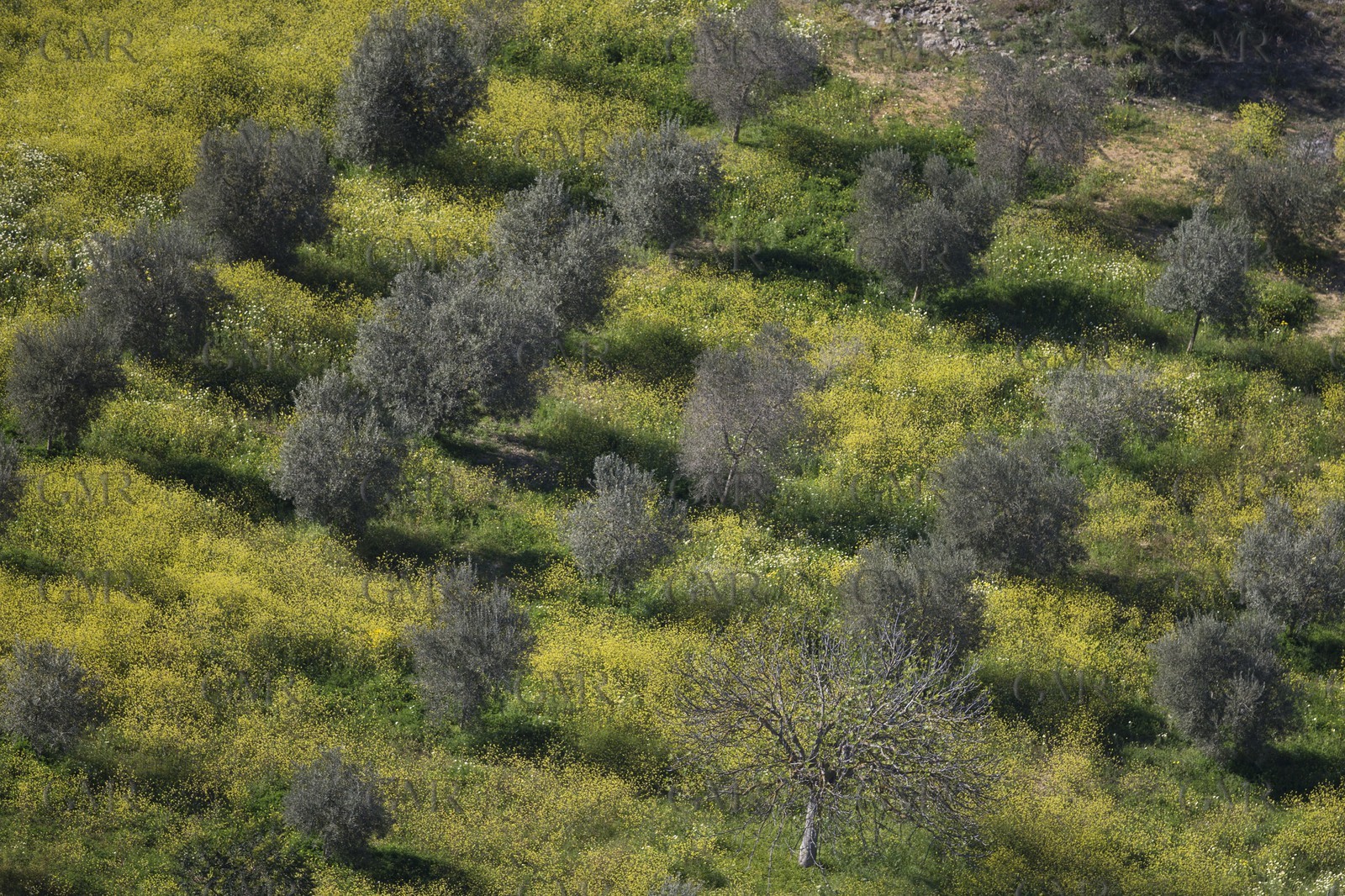 08 04 2015, Andraitx (Isla de Mallorca, Islas Baleares, ESP), Chantier Fountaine-Pajot, Motor Yacht 37