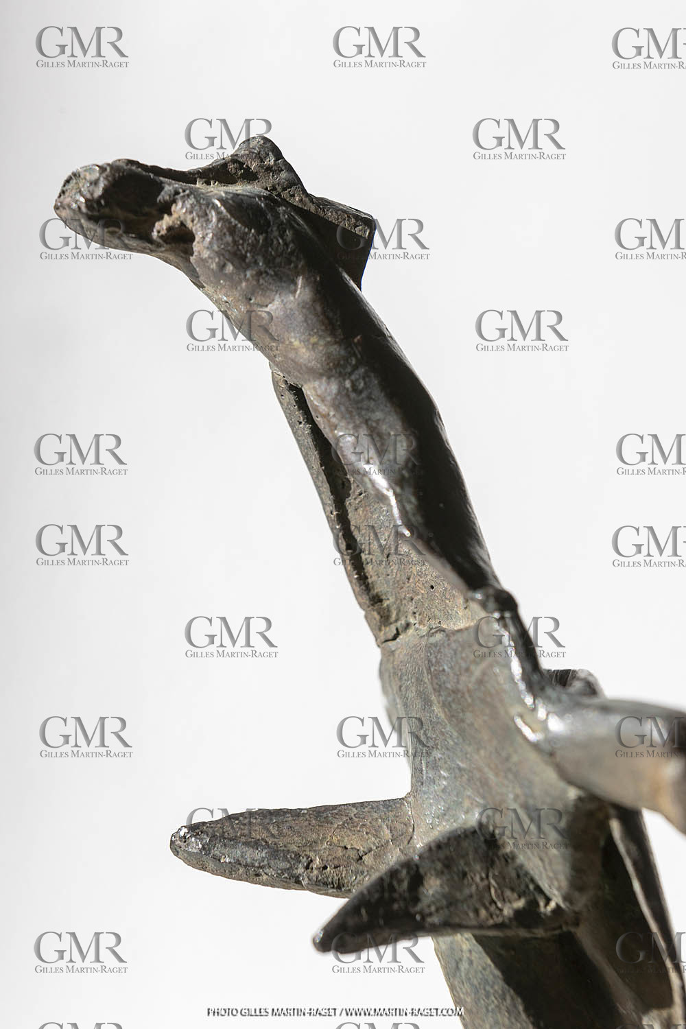 Ouvre de Germaine Richier, Femme Coq N° 4, 1954, 8 8