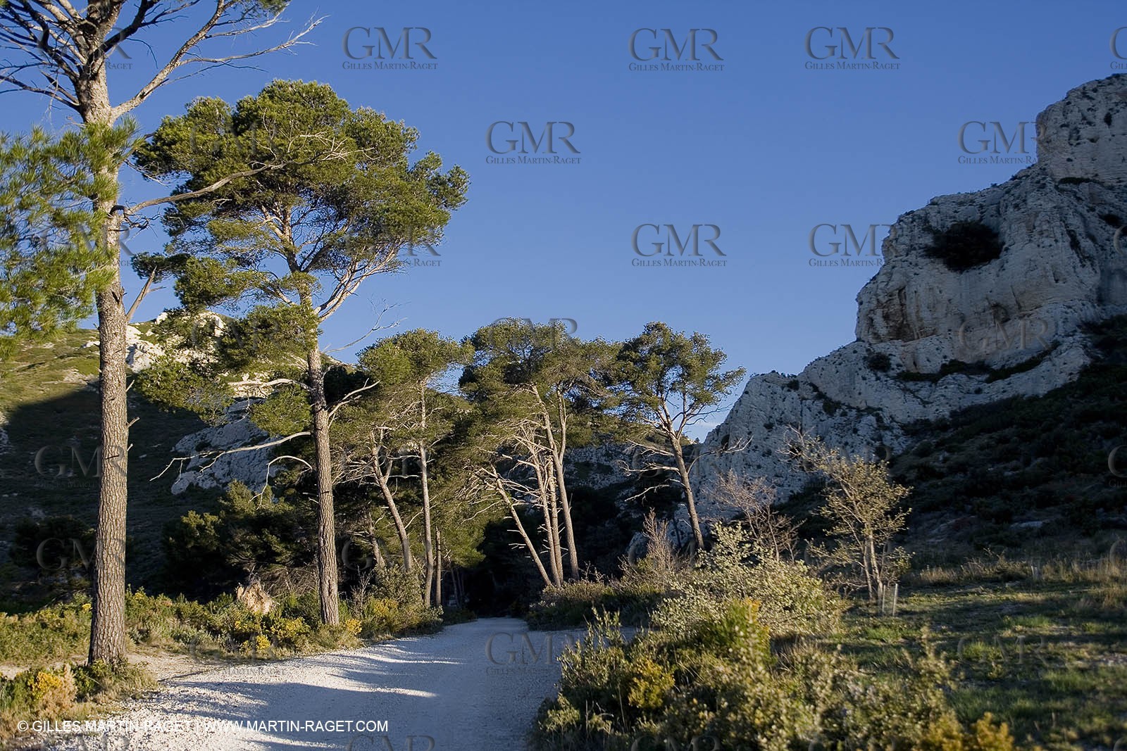 27 03 2008 - Les Baux de Provence (FRA,13) - Alpilles hills landscapes