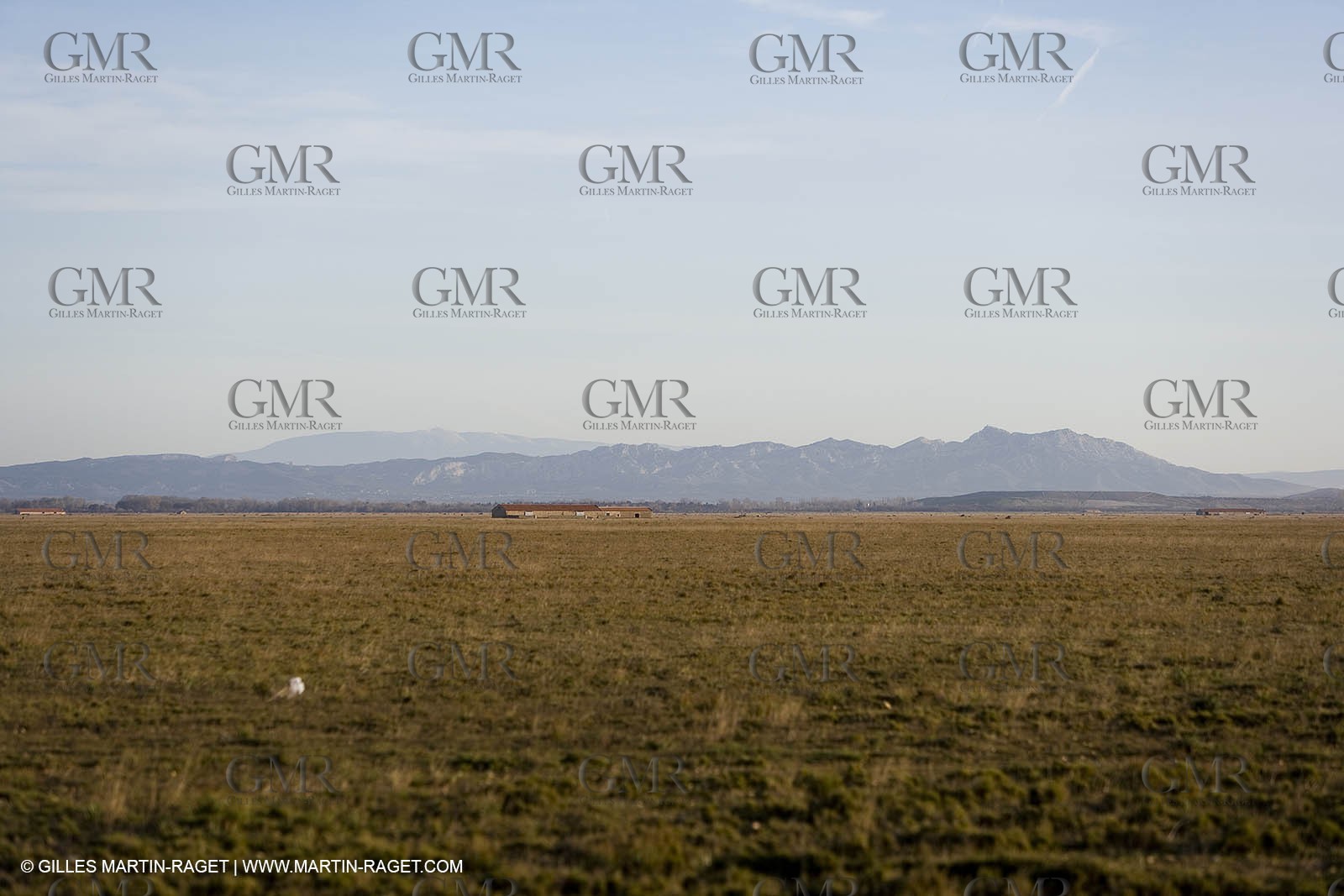 04 03 2007 - Saint Martin de Crau (FRA) - la Crau plain with Alpilles hills and Mont Ventoux in background.