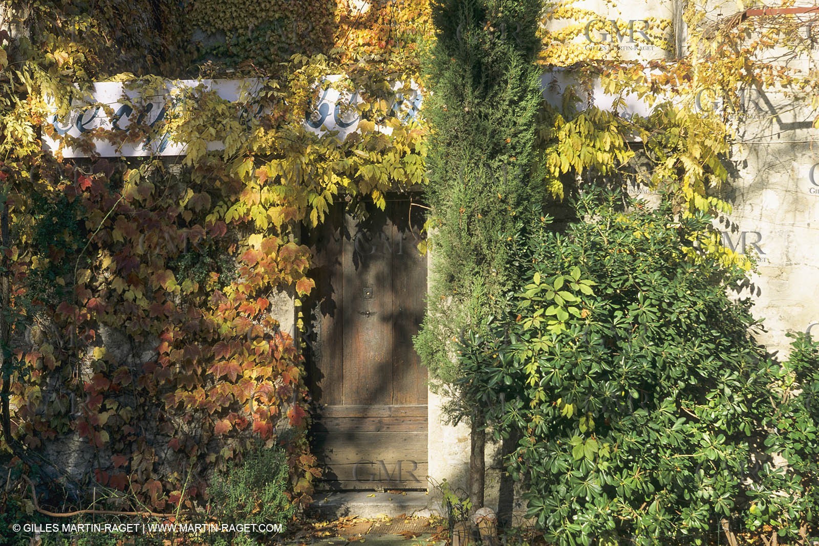 France, Provence, Saint-Rémy de Provence