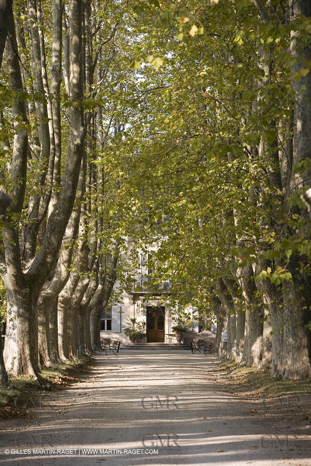 28 10 2007 - St Rémy de Provence (FRA,13) - Chateau des Alpilles