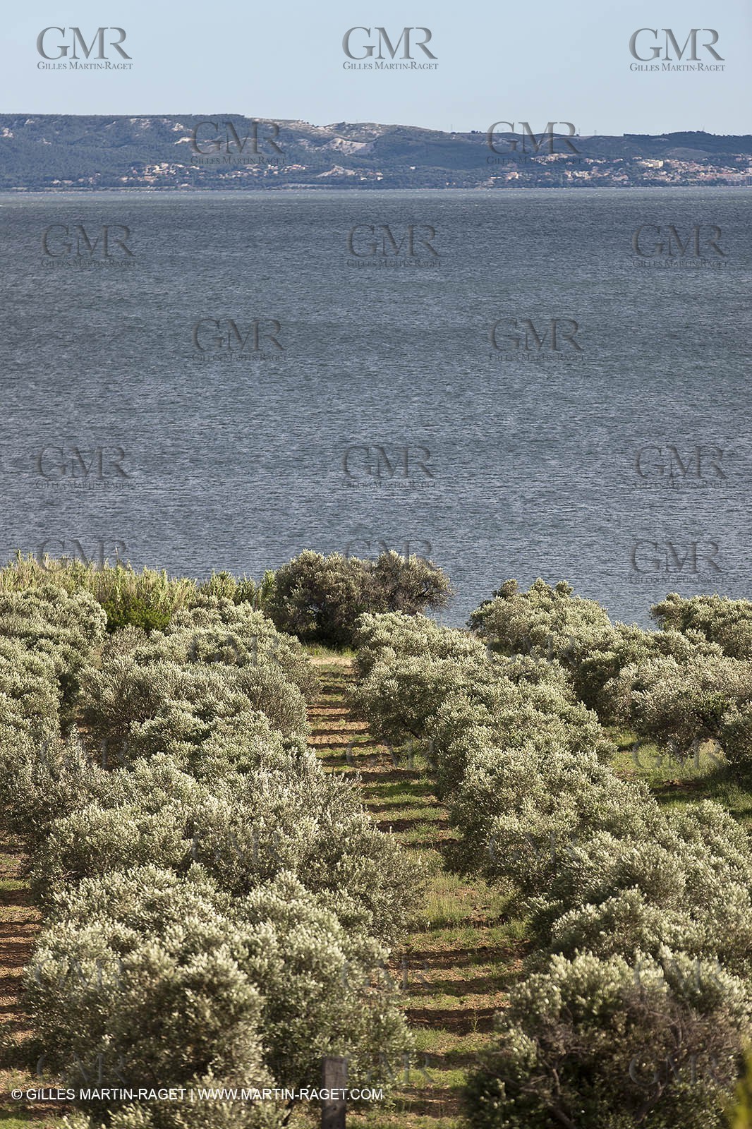 13 06 2012 - Saint Chamas (FRA,13)