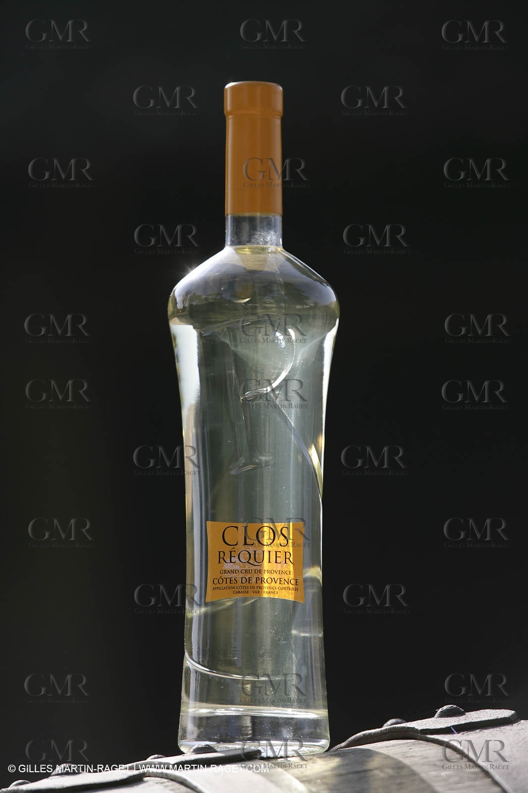 28 02 2008 - Cabasse (FRA, 83) - Domaine du Lac vines