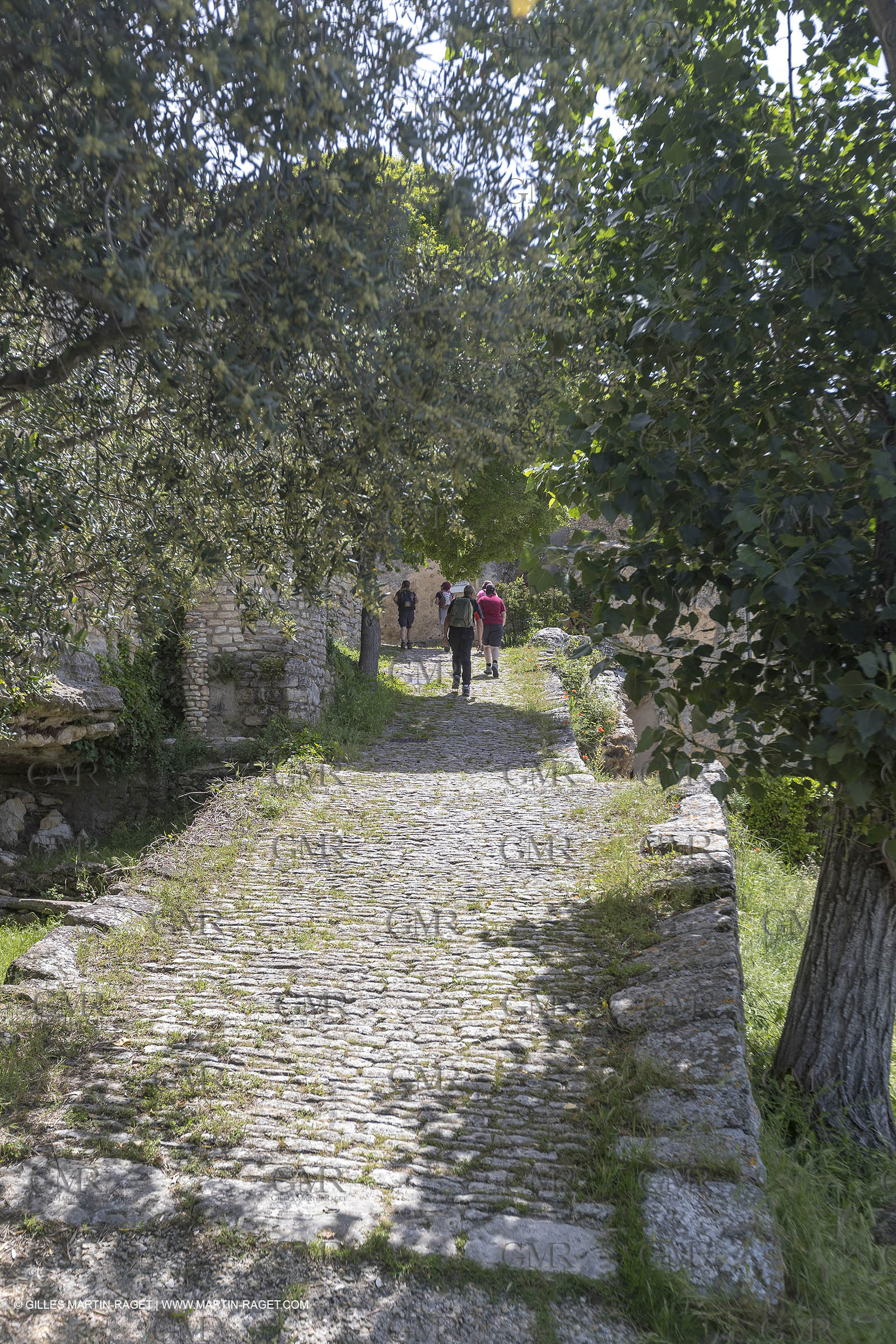 10 06 2018, Sivergues (FRA,84)