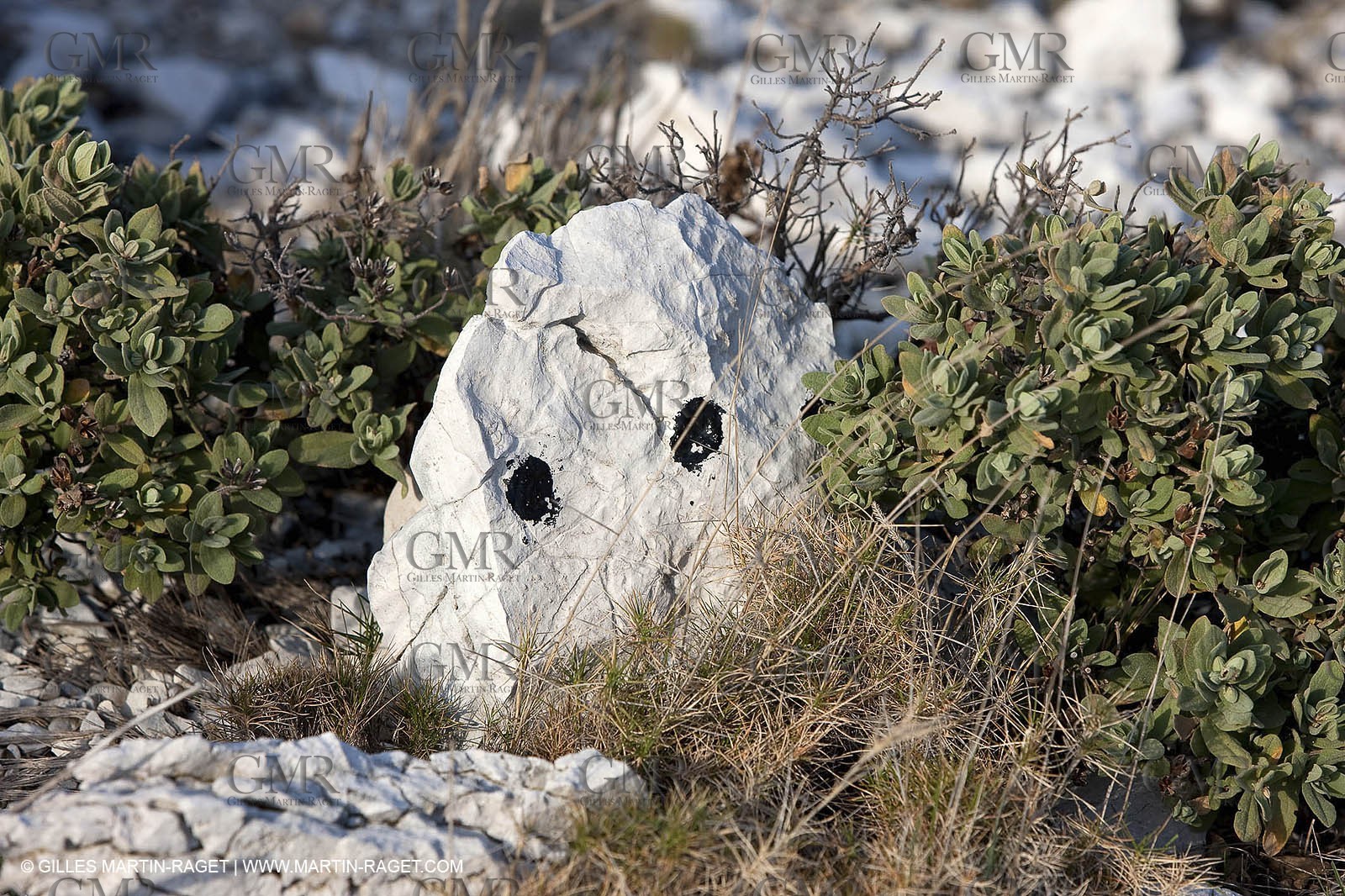 25 03 2009 - Marseille (FRA, 13) - Les Calanques