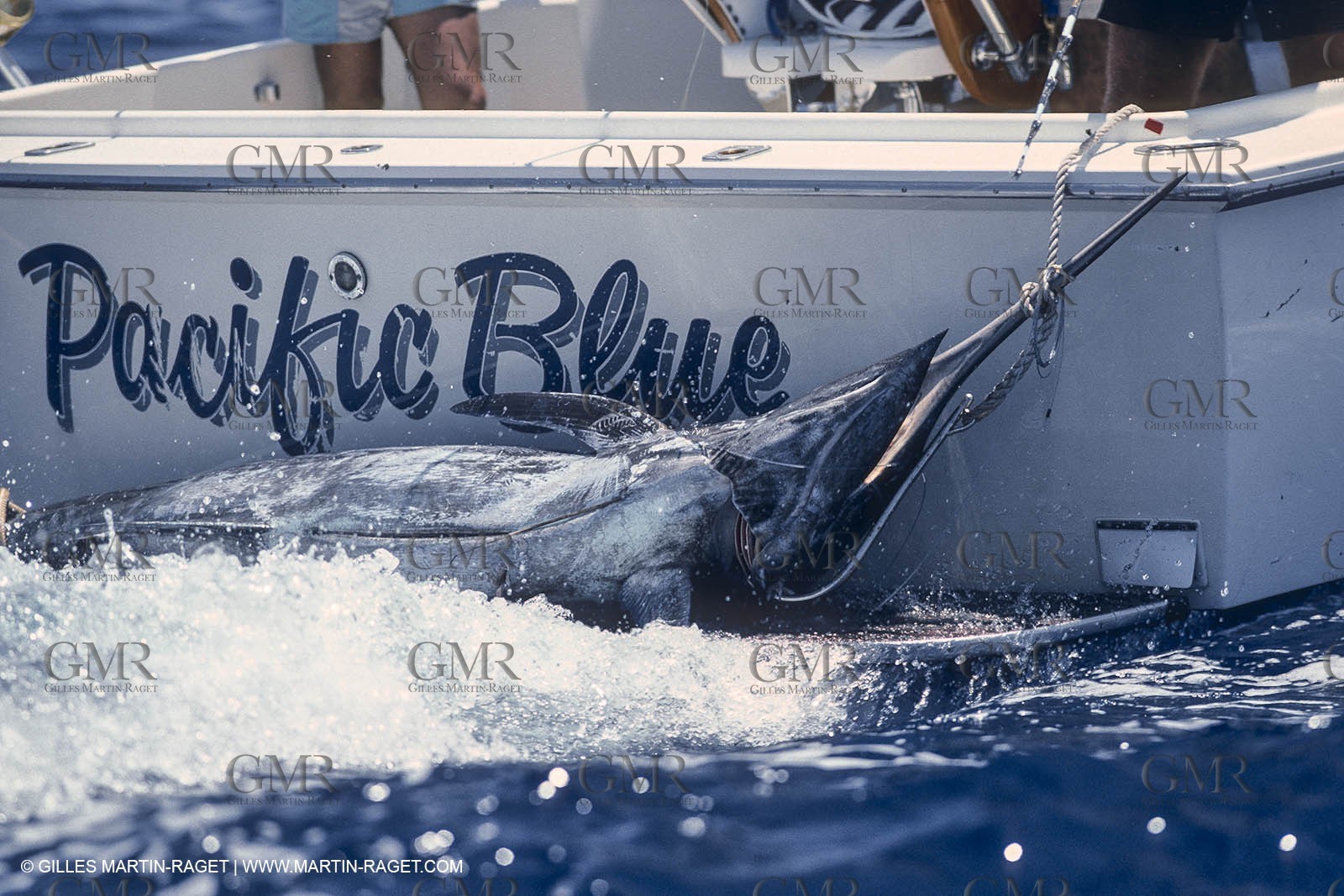 Water sports, Sportfishing, pêche au gros