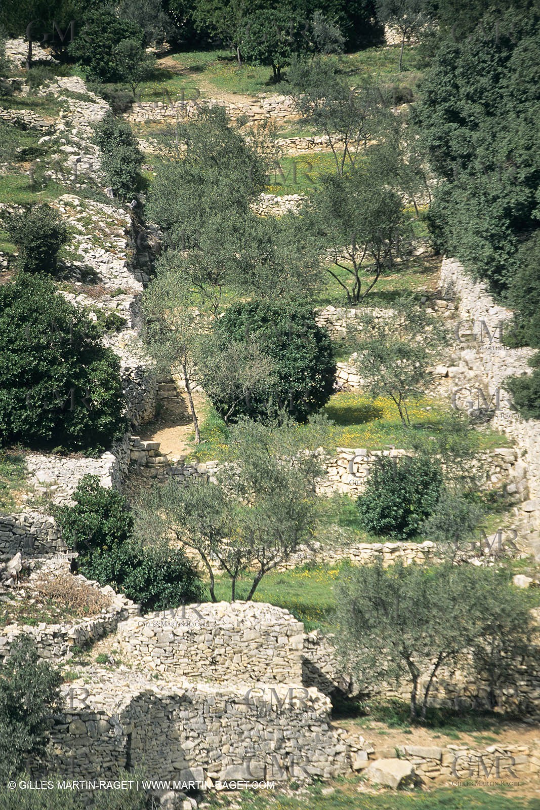 Paysages de Nîmes Métropole (FRA,30) - La Garrigue
