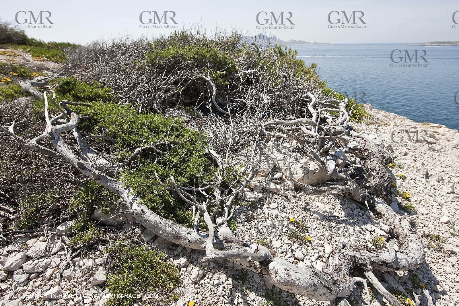 20 05 2009 - Marseille (FRA, 13) - Les Calanques - Calanque du Podestat