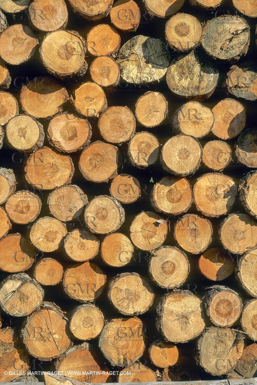 France, Provence, Southern Alps