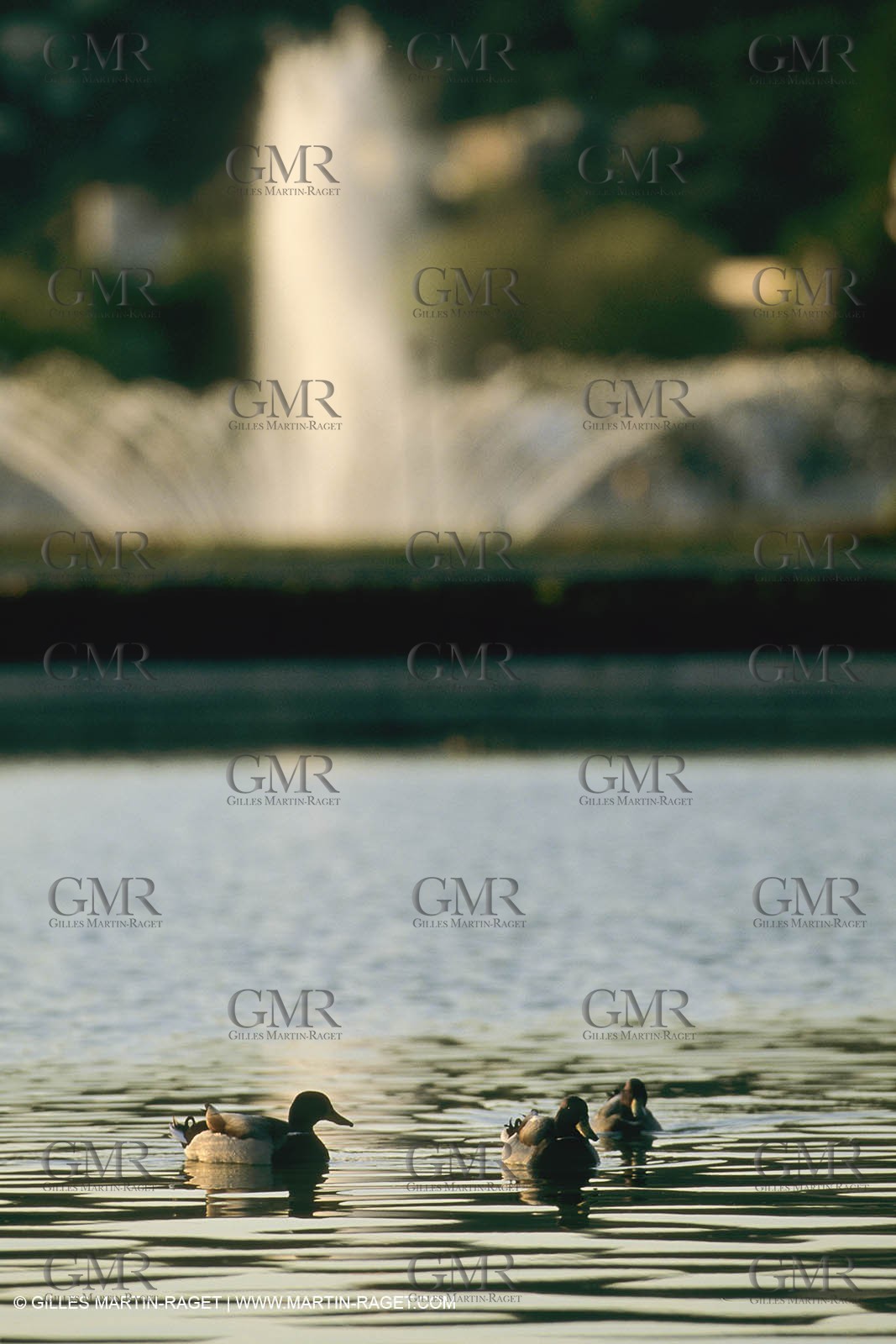 Marseille historical heritage (check keywords for more infos)