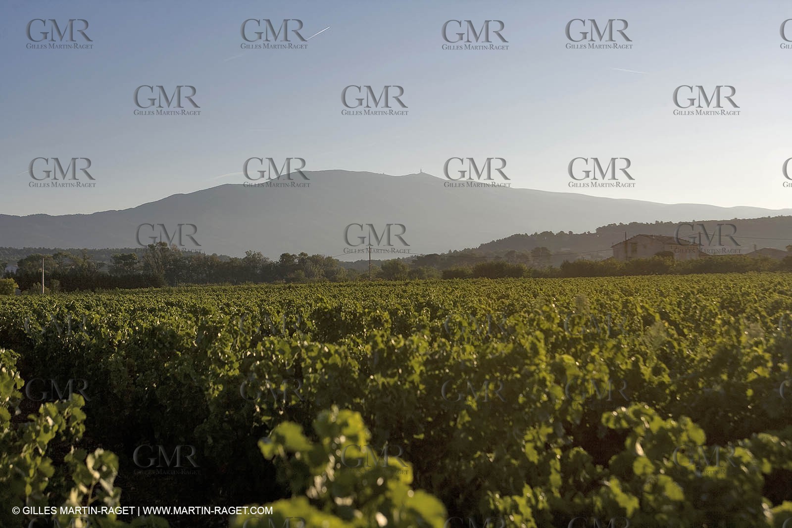 01 09 2007 - Bédouin (FRA, 84) - Mount Ventoux area